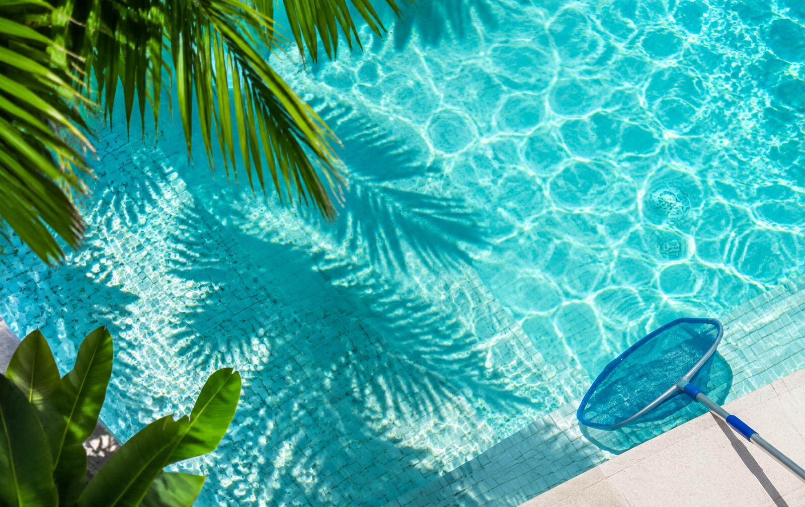 Piscina de agua cristalina con sombra de palmeras